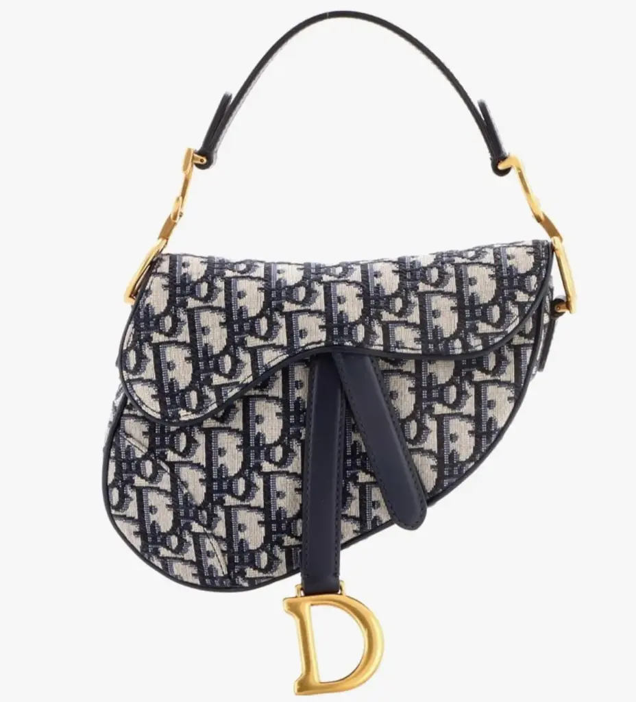 Dior Saddle Handbag Oblique Canvas Mini