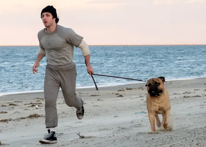 Anthony Ippolito Goes the Distance as Sylvester Stallone in ‘I Play Rocky’ Trailer