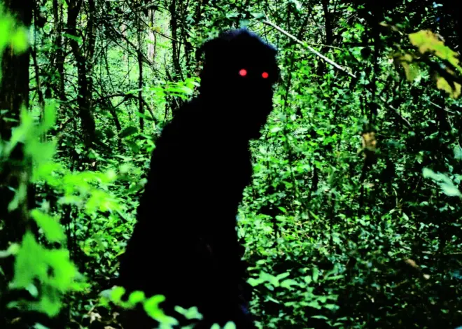 Restored Apichatpong Weerasethakul Films on Sale in Venice
