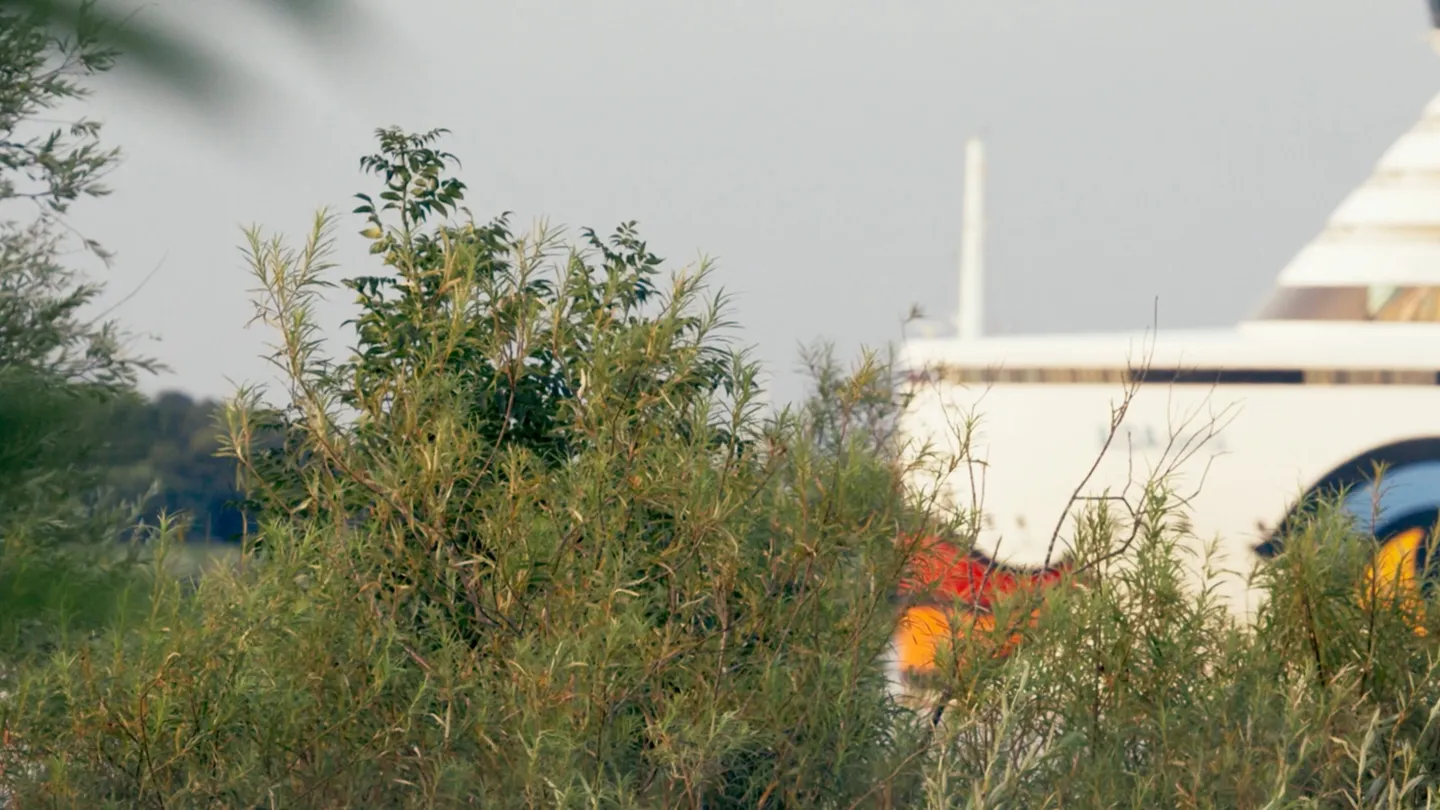 ‘Strange Neighbors’ Review: A Pretty but Familiar-Feeling Environmental Doc Portrays Natural Beauty Jostled by Man-Made Ugliness
