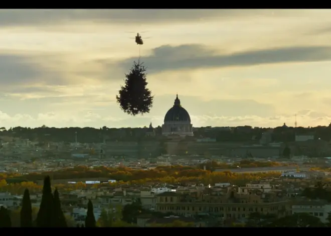 The ‘Holy Wood Dust’ Director Wants You to Know Your Christmas Tree Is a Living Being With 20 Senses