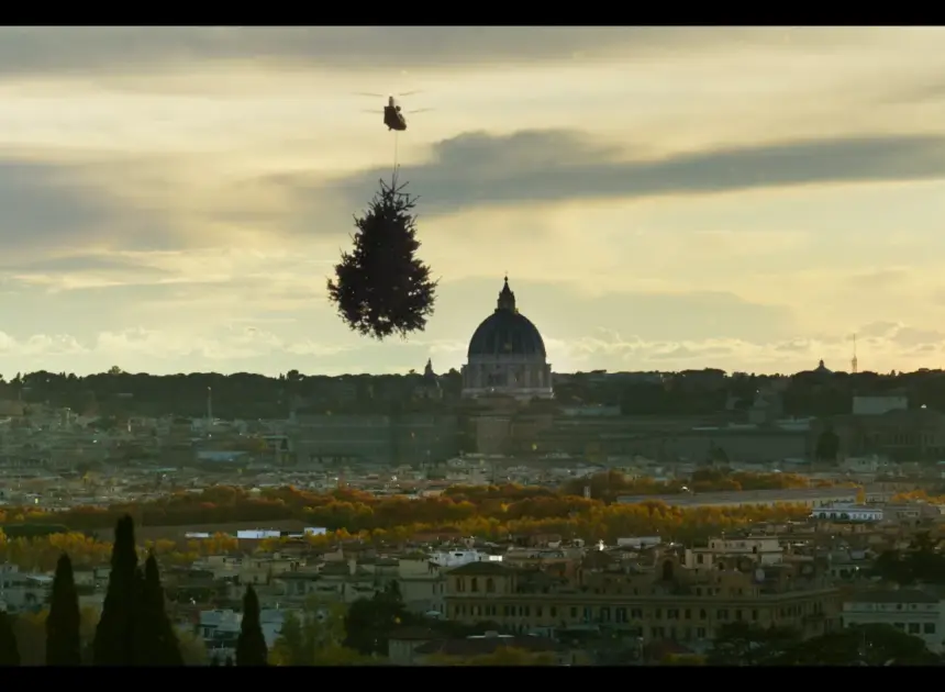 The ‘Holy Wood Dust’ Director Wants You to Know Your Christmas Tree Is a Living Being With 20 Senses