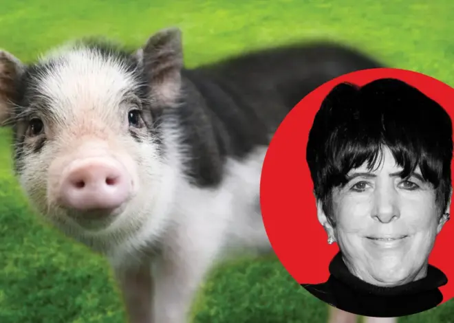 “I Lost 17 Oscars, But I Won a Pig”: How Diane Warren Saved Wilbur