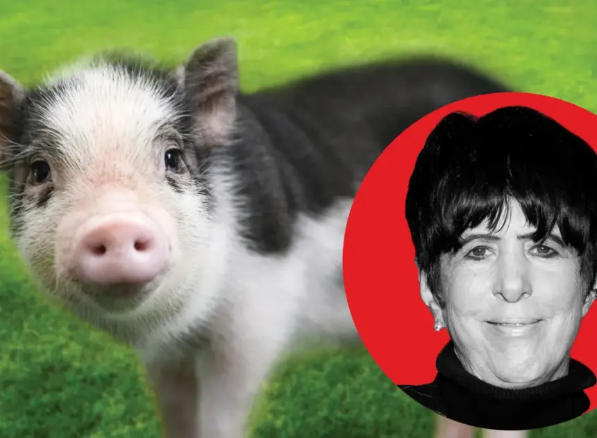 “I Lost 17 Oscars, But I Won a Pig”: How Diane Warren Saved Wilbur