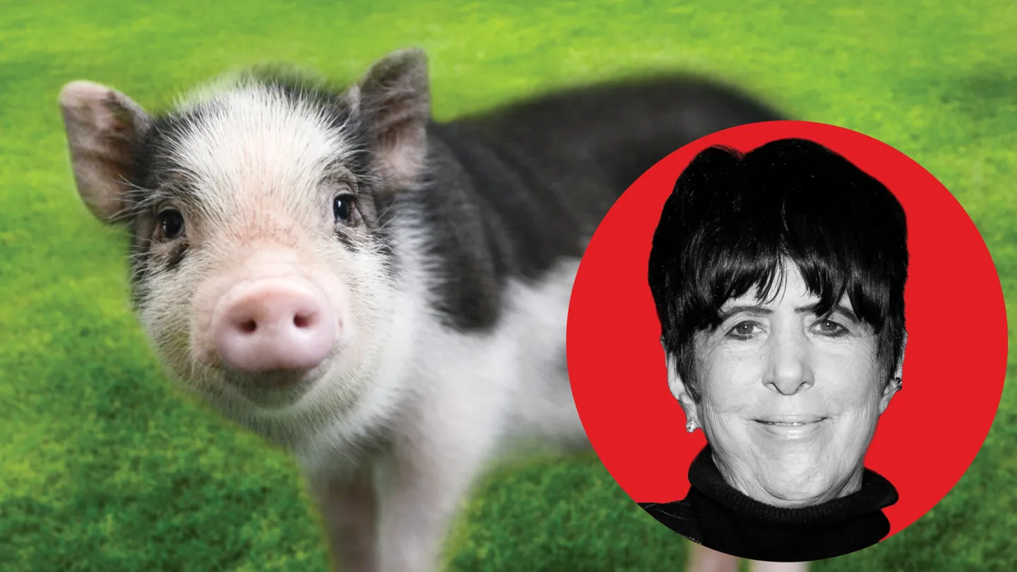 “I Lost 17 Oscars, But I Won a Pig”: How Diane Warren Saved Wilbur