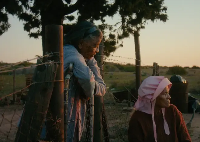 South Africa’s Oscar Entry ‘Variations on a Theme’ Was Written With Microsoft Excel