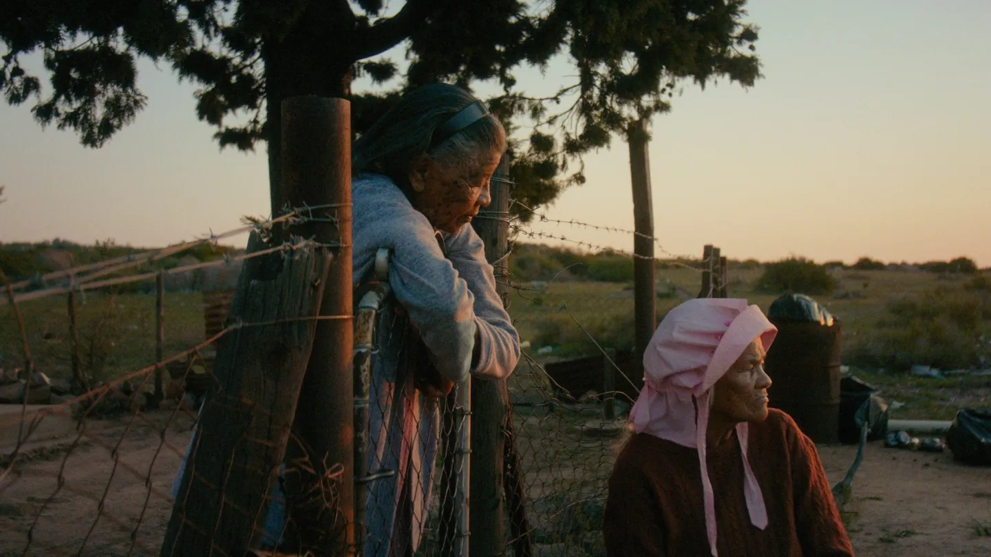 South Africa’s Oscar Entry ‘Variations on a Theme’ Was Written With Microsoft Excel